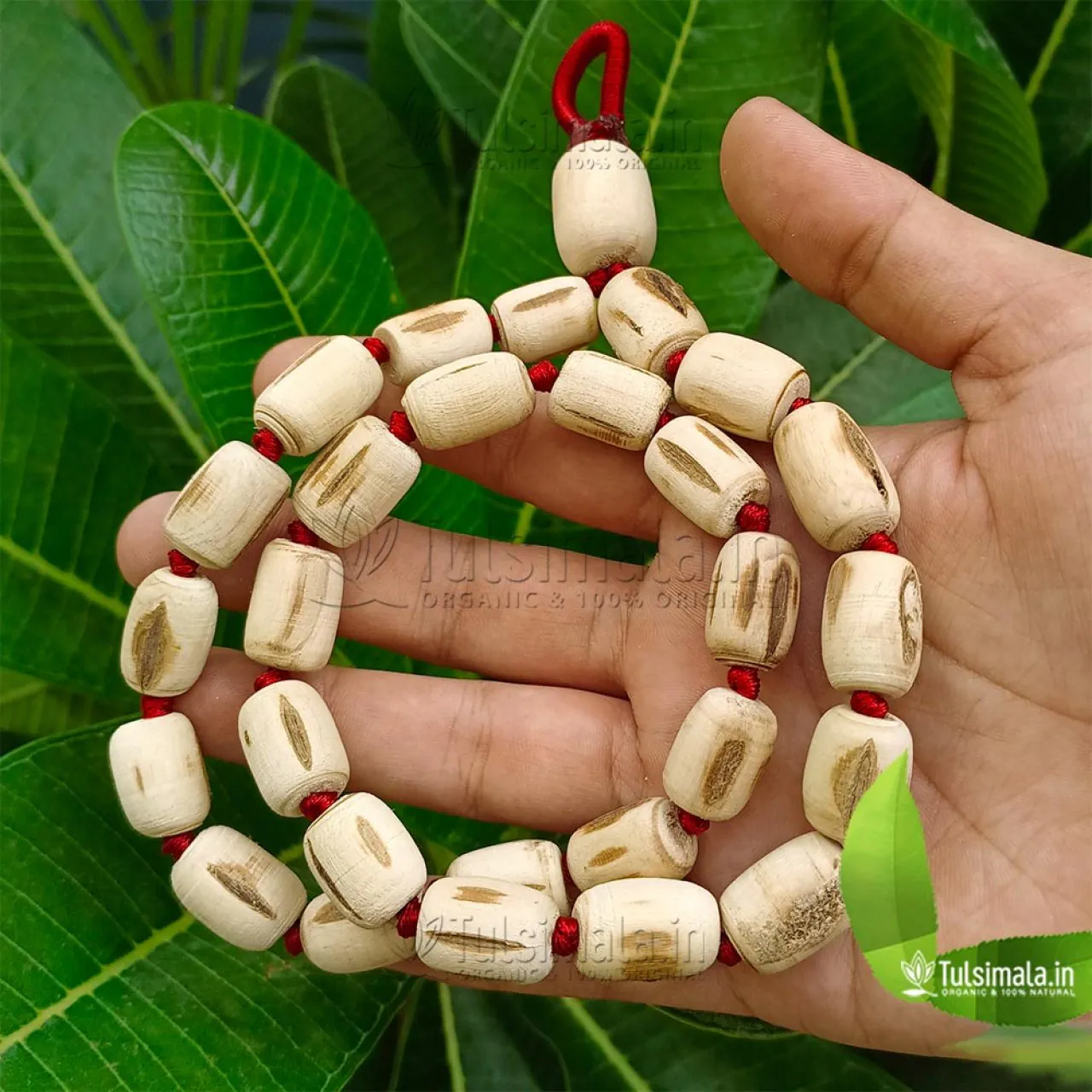 Advantages and Disadvantages of Basil (Original Tulsi Mala)