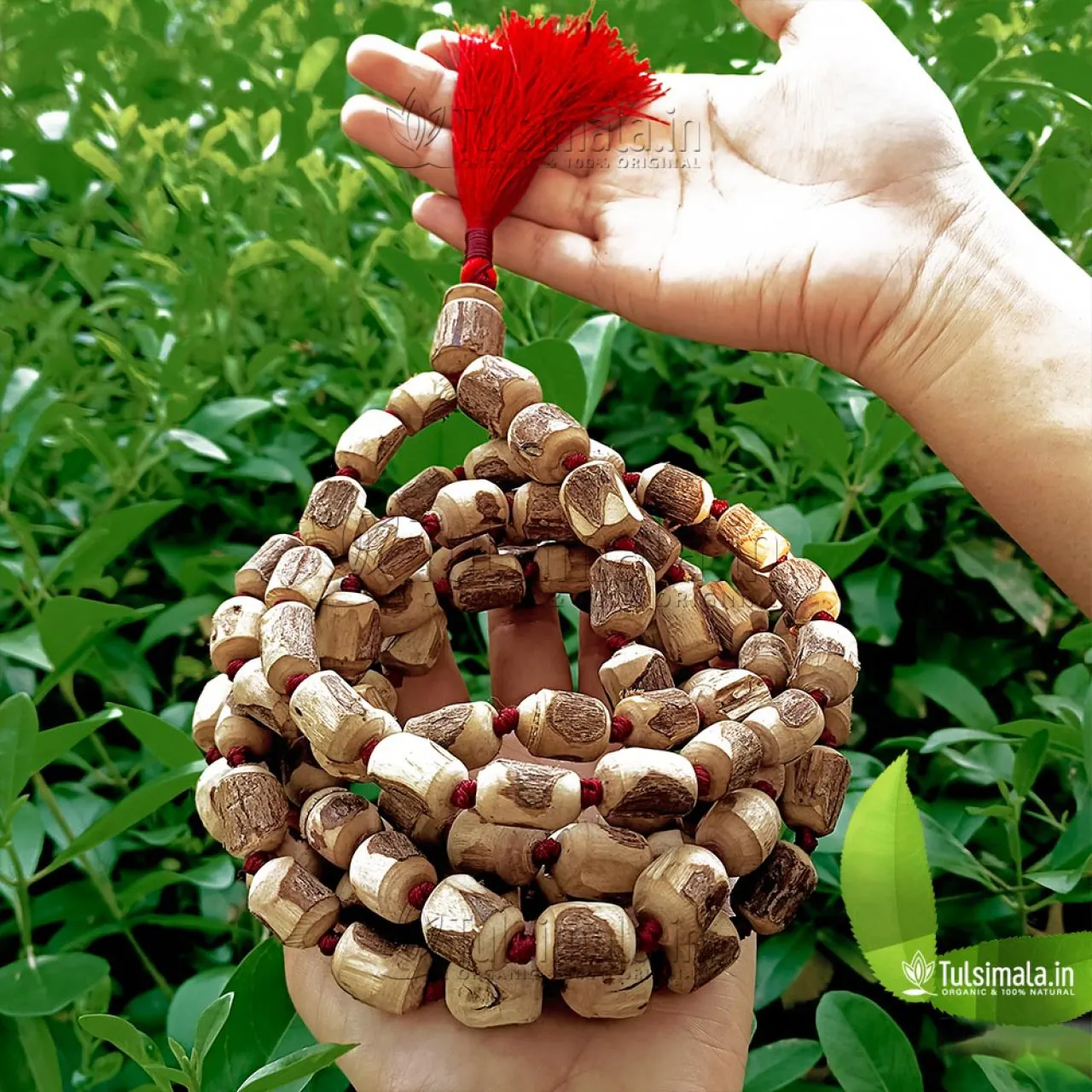 Why you should worship the Tulsi plant and Tulsi Mala?