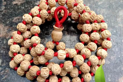 What is Tulsi Mala?