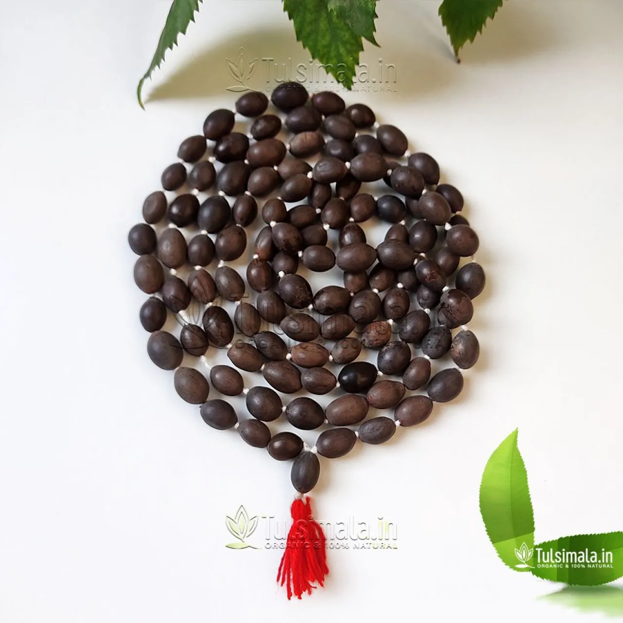 Top 10 Kamal Gatta Mala Benefits (Lotus Seed Japa Mala)