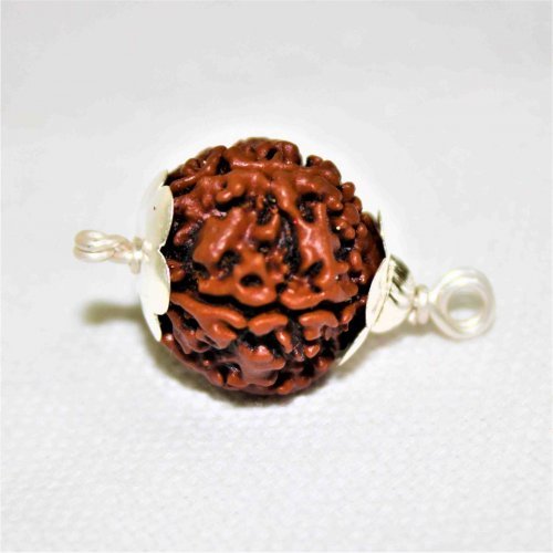 5 Mukhi Rudraksha - Nepani Rudraksha Single 5 Face