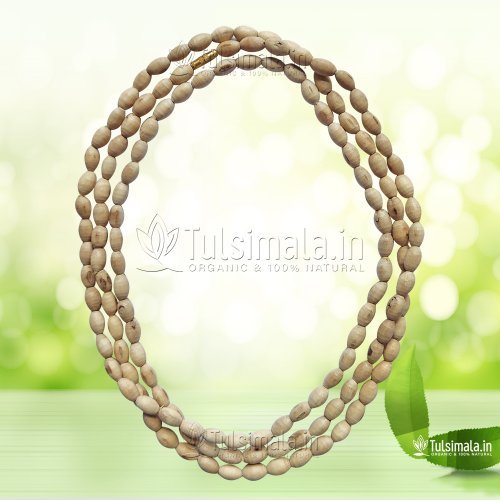 3 Round Pure Tulsi Kanthi Mala 4mm Oval Shape