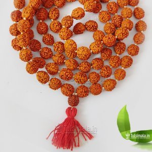 Original Rudraksha Japa Mala 108+1 Beads