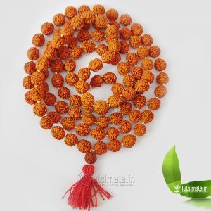 Original Rudraksha Japa Mala 108+1 Beads