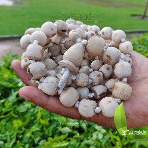 Mayapur 108+1 Original Tulsi Japa Mala 16mm Bead Size