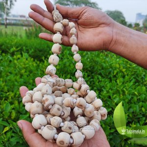 108+1 Handmade Beads Vrindavan Original Tulsi Jaap Mala