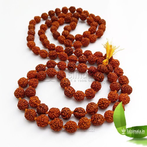 Rudraksha Japa Mala 108 Beads 14mm Size