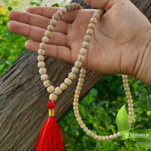 Original Tulsi 108 Beads Japa Cum Kanthi Mala Original Tuls Mala
