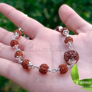 Seven Face Rudraksh in 92.5% Pure Silver Cap with 5 Face Rudraksha