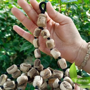 Shyama Tulsi japa Mala 108+1 Big Original 18-14mm Bead Size