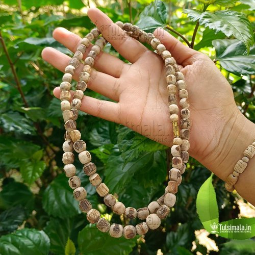 2 Round ISKCON Original Tulsi Kanthi Mala 10mm Beads Size