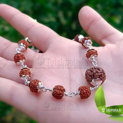 Seven Face Rudraksh in 92.5% Pure Silver Cap with 5 Face Rudraksha