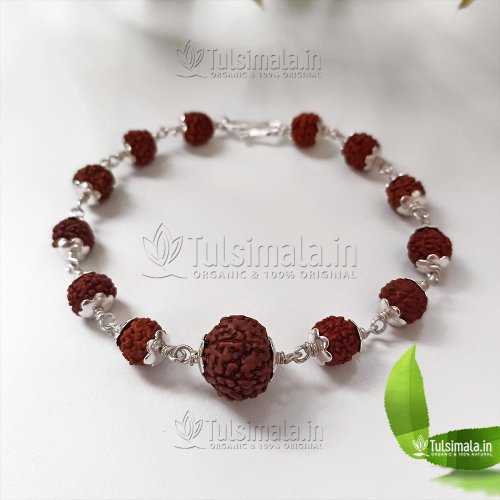 Seven Face Rudraksh in 92.5% Pure Silver Cap with 5 Face Rudraksha