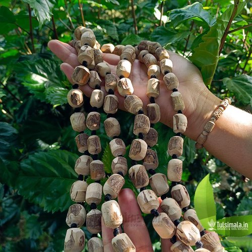 Shyama Tulsi japa Mala 108+1 Big Original 18-14mm Bead Size