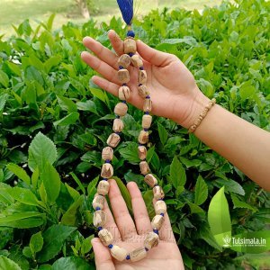 27+1 Original Tulasi Beads Japa Mala Big to Small