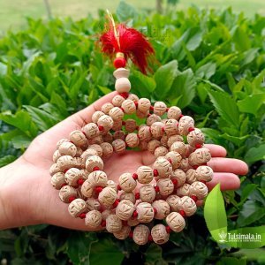 108+1 ISKCON Shri Radha Tulasi Japa Mala Beautiful Design