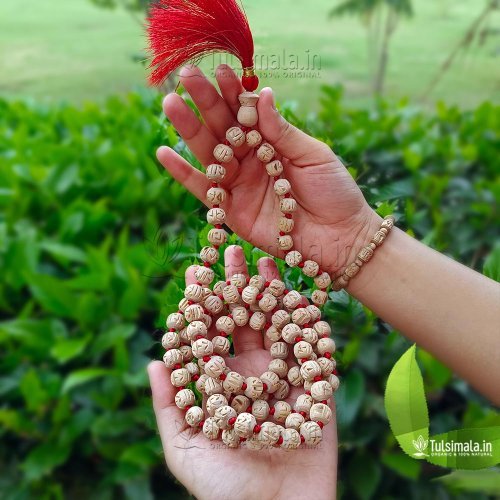 108+1 ISKCON Shri Radha Tulasi Japa Mala Beautiful Design