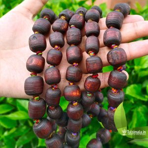 Multi Colour Strong Thread Chanting Japa 108 Original Tulsi Beads 16 to 12mm