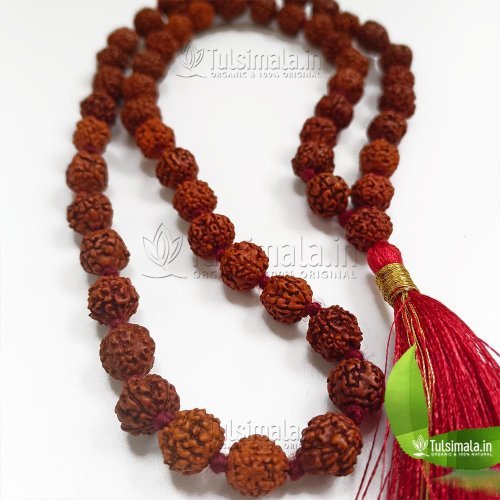 54+1 Beads Rudraksha Mala 12mm Beads Size