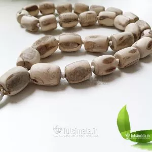 27+1  Big Original Tulsi Beads 20mm Thick and 25mm Long