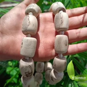 27+1  Big Original Tulsi Beads 20mm Thick and 25mm Long 3