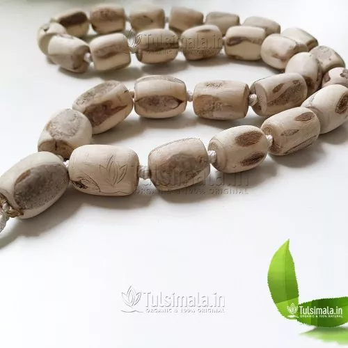 27+1  Big Original Tulsi Beads 20mm Thick and 25mm Long
