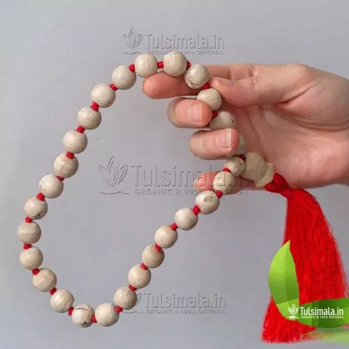 27+1 Beads ISKCON Tulsi Japa Mala 12mm Bead Size
