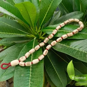 27+1  Beads ISKCON Original Tulasi Japa Mala 16mm-12mm