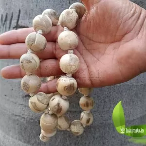 27+1 Big Beads Tulsi Japa Mala 20mm 3