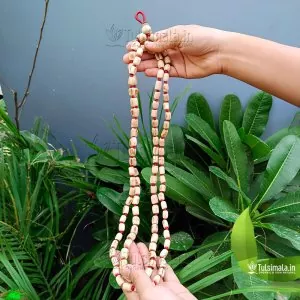108+1 Beads Original tulsi Japa Mala Big to Small Beads 3