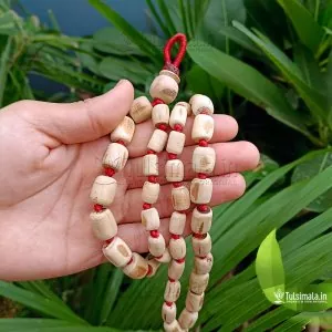 108+1 Beads Original tulsi Japa Mala Big to Small Beads