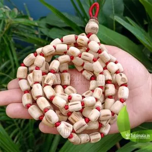 108+1 Beads Original tulsi Japa Mala Big to Small Beads