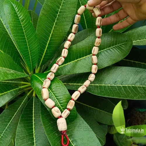 27+1  Beads ISKCON Original Tulasi Japa Mala 16mm-12mm