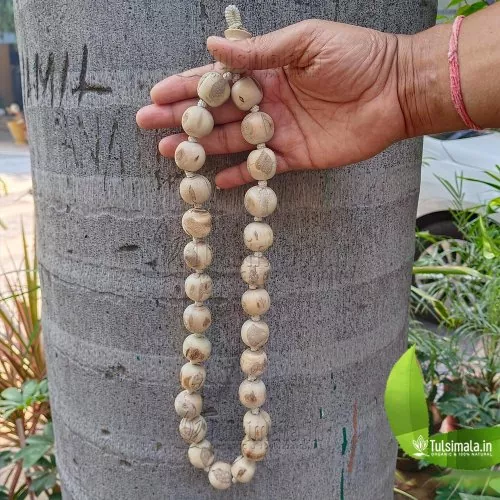 27+1 Big Beads Tulsi Japa Mala 20mm