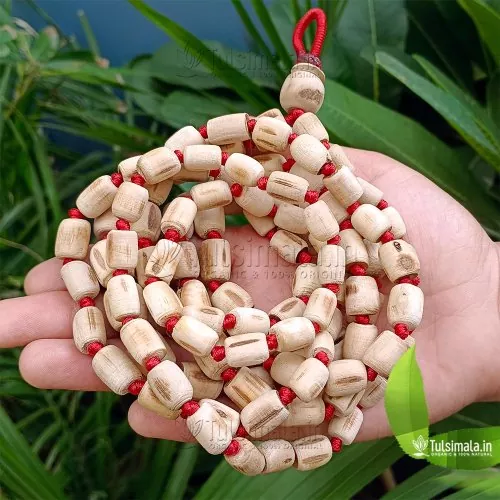 108+1 Beads Original tulsi Japa Mala Big to Small Beads