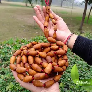 108+1 Rama Tulsi Mridangam 16.5mm Beads Big Japa Mala