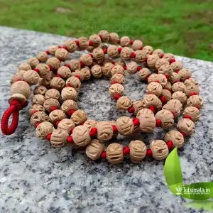 108+1 Beads Design Sri Radha ISKCON Original Tulsi Japa Mala  12mm