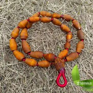 27+1 Mridamgam Shape Beads Rama Tulsi Japa Mala 3