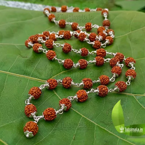 54+1 Rudraksha 8mm Size Mala with 92.5% Pure Silver