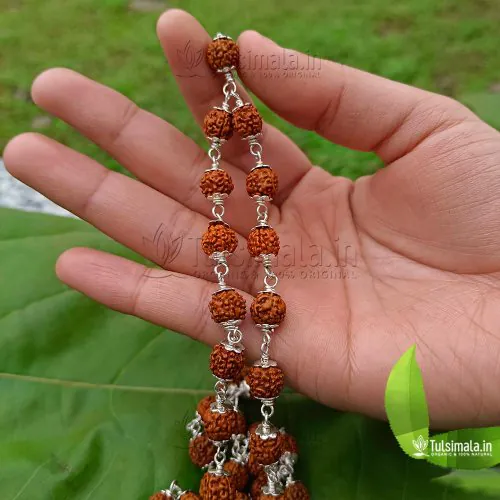 54+1 Rudraksha 8mm Size Mala with 92.5% Pure Silver