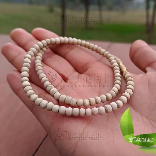 108 Bead Premium Quality Original Tulsi Kanthi Mala for All