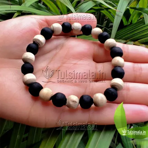 Ram Tulsi and Krishna Tulsi Beads 8mm Beads Size Bracelet