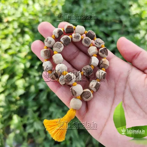 27+1 Tulsi Jaap Mala Cum Hand Bracelet 10 mm  Bead Size