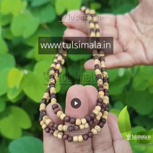 3 Round Tulsi Kanthi Mala Shyama Tulsi Beads 3mm