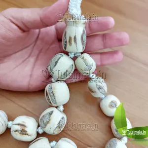Original 25mm Big Tulsi Beads 27+1 Tulsi Japa Mala - Big to Small 3
