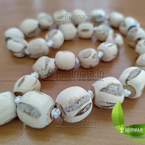 Original 25mm Big Tulsi Beads 27+1 Tulsi Japa Mala - Big to Small