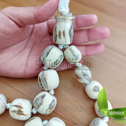 Original 25mm Big Tulsi Beads 27+1 Tulsi Japa Mala - Big to Small