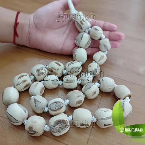 Original 25mm Big Tulsi Beads 27+1 Tulsi Japa Mala - Big to Small