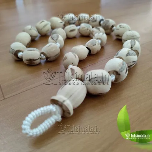 Original 25mm Big Tulsi Beads 27+1 Tulsi Japa Mala - Big to Small
