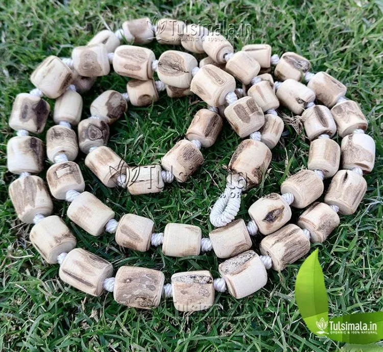 Big to Small ISKCON 54+1 Original Tulsi Japa Mala